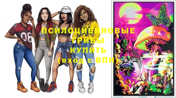 МДПВ Новозыбков