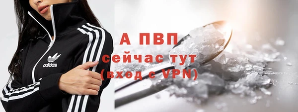 МДПВ Новозыбков