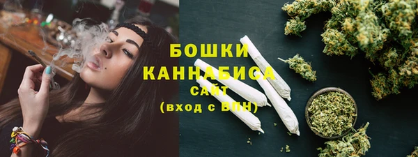 МДПВ Новозыбков