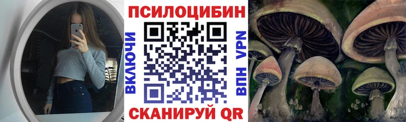 Галлюциногенные грибы Psilocybine cubensis kraken зеркало Зима