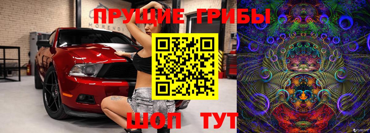 Галлюциногенные грибы Cubensis  дарнет шоп  Зима 